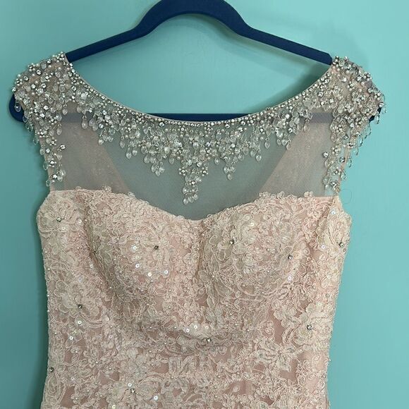 SHERRI HILL STYLE #51114 lace, tulle, embellished gown. Light pink - Picture 9 of 14